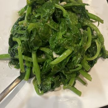 Spicy House - Szechuan Near Me - San Diego, California Spicy House - Szechuan Near Me - San Diego, California