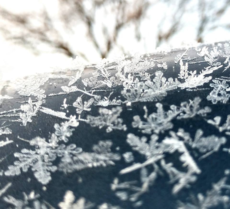 Brown’s Auto Glazing & Detailing Shop