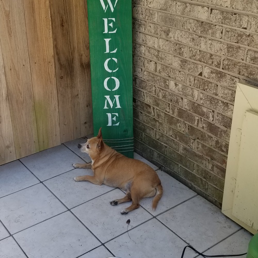 Animal Boutique - Pet Groomers Near Me - Martinez, Georgia Animal Boutique - Pet Groomers Near Me - Martinez, Georgia
