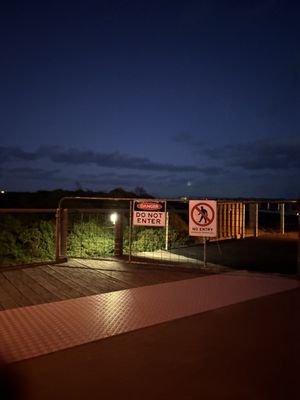 Penguin Parade by null