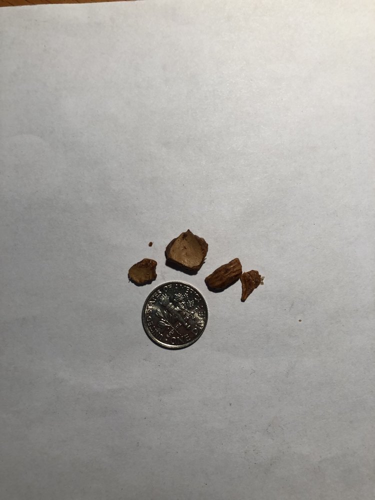 ONCE AGAIN NUT BUTTER with 24 real customer photos Updated August