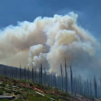 Waterdogg LLC - South Fork Complex fires Shasta Trinity National Forest and Six Rivers NF August 2023 - Fire Protection Services Near Me - Red Bluff, California Waterdogg LLC - South Fork Complex fires Shasta Trinity National Forest and Six Rivers NF August 2023 - Fire Protection Services Near Me - Red Bluff, California