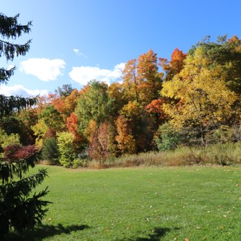 Huntington Park - Dog Parks Near Me - Markham, Ontario