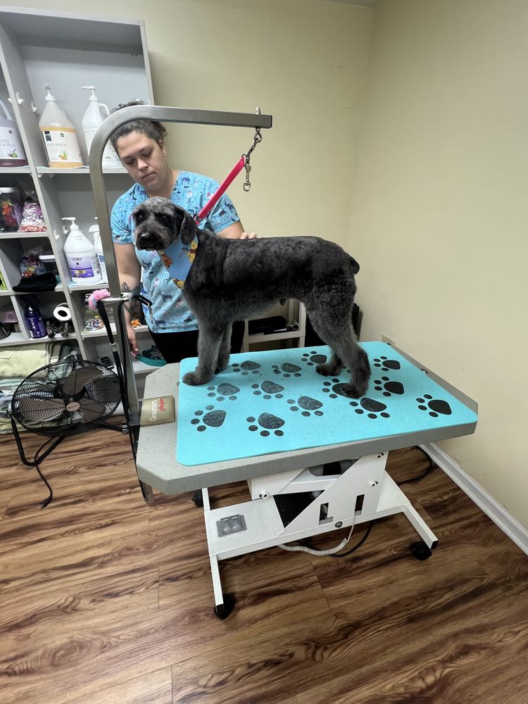 Dirty Dog Gone Image