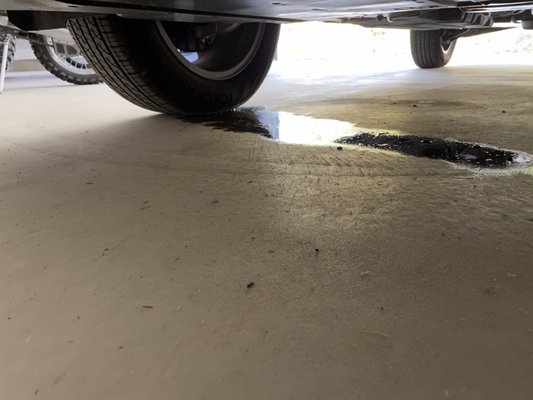 MY AUTO IMPORT CENTER - Updated October 2024 - 18 Photos & 46 Reviews