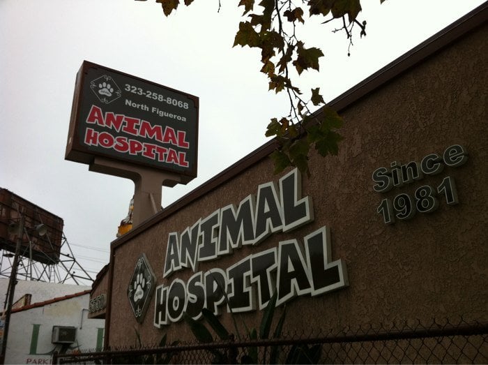 North Figueroa Animal Hospital 162 Photos 455 Reviews Veterinarians 5550 N Figueroa St Highland Park Los Angeles Ca Phone Number