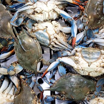 168 Market - a large pile of blue crabs - Fruits & Veggies Near Me - San Gabriel, California 168 Market - a large pile of blue crabs - Fruits & Veggies Near Me - San Gabriel, California