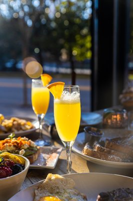 The Ainsworth Nashville by null