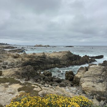 17-Mile Drive Scenic Tour - Local Flavor Near Me 17-Mile Drive Scenic Tour - Local Flavor Near Me
