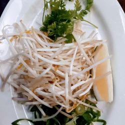 Watda Pho