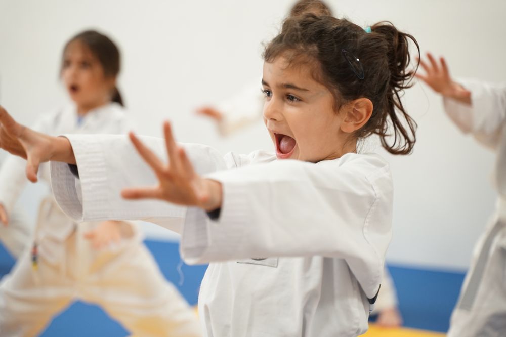 LIFE OF MARTIAL ARTS LOMA 487 Photos & 37 Reviews 23062 Alicia