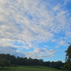 Meadowland Park