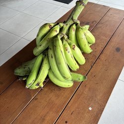 El Plantanal - Plantains, or Plátanos as they're also known, are part of the banana family