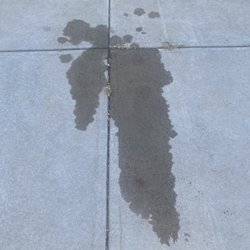 Grease Monkey - That a solid no problem oil leak according to Grease Monkey on Hampton Ave