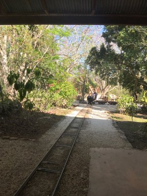 Hacienda San Pedro Ochil by null