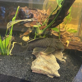 Fresh Pets And Grooming - Pet Stores Near Me - Lomita, California