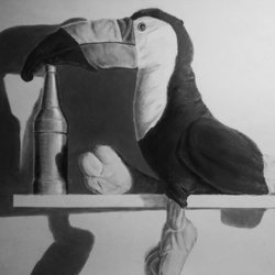 The Youthful Scholar - Art & Drawing Foundations