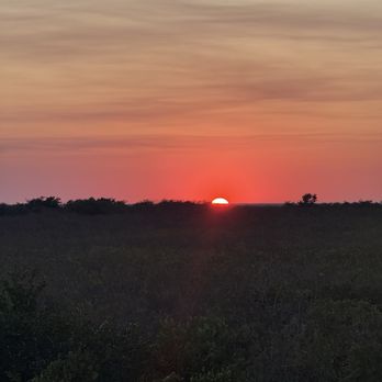 Everglades Elevated Boardwalk - Landmarks & Historical Buildings Near Me - Weston, Florida