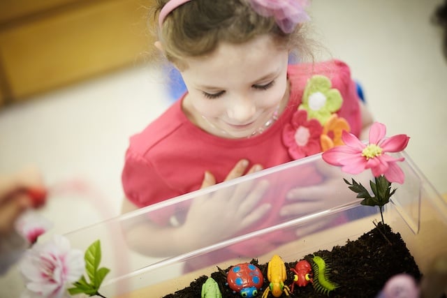 Kirkland Children's School - childcare center in Kirkland, WA