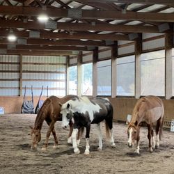 Oregon Horsemanship