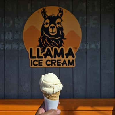 Llama Ice Cream by null