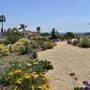Photo of DB Landscape Co.
