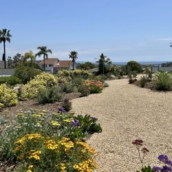DB Landscape Co.