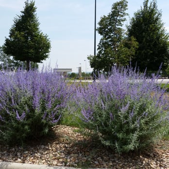 Starbucks - This location is new, clean, & a gorgeous area! - Coffee & Tea Near Me - Westminster, Colorado Starbucks - This location is new, clean, & a gorgeous area! - Coffee & Tea Near Me - Westminster, Colorado