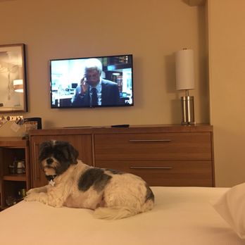 Hyatt Place - Pet friendly rooms for $75 per stay - Venues & Event Spaces Near Me - Orlando, Florida Hyatt Place - Pet friendly rooms for $75 per stay - Venues & Event Spaces Near Me - Orlando, Florida