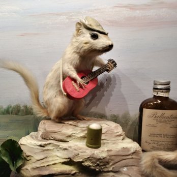 Moccasin Bar - Not sure if he takes requests - Dive Bars Near Me - Hayward, Wisconsin