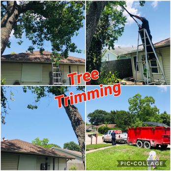 Mudbug Junk Removal - Kenner over home Tree trim - Junk Removal & Hauling Near Me Mudbug Junk Removal - Kenner over home Tree trim - Junk Removal & Hauling Near Me