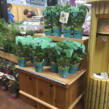 Trader Joe's - Grocery Near Me - Falls Church, Virginia Trader Joe's - Grocery Near Me - Falls Church, Virginia