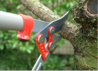 2 Guys Tree Service - tree service in Fort Wayne, IN