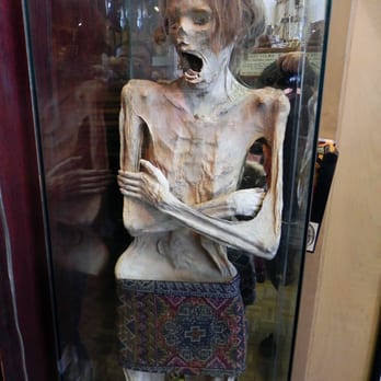 Ye Olde Curiosity Shop - Jewelry Near Me - Seattle, Washington Ye Olde Curiosity Shop - Jewelry Near Me - Seattle, Washington