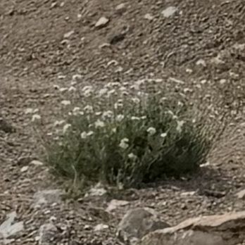 Far Flung Outdoor Center - Tours Near Me - Terlingua, Texas