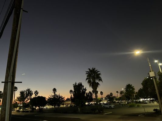 La Moreliana by null