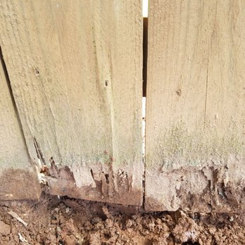 Premier Fence 40 Photos 20 Reviews Fences Gates 1354 W College St Murfreesboro Tn Phone Number Premier Fence 40 Photos 20 Reviews Fences Gates 1354 W College St Murfreesboro Tn Phone Number