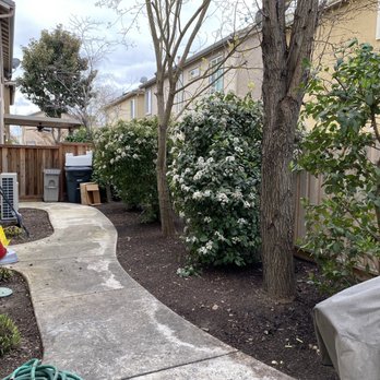 Franks Landscaping - Landscaping Near Me Franks Landscaping - Landscaping Near Me