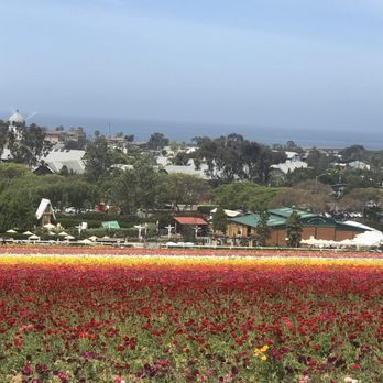 The Flower Fields - Venues & Event Spaces Near Me - Carlsbad, California