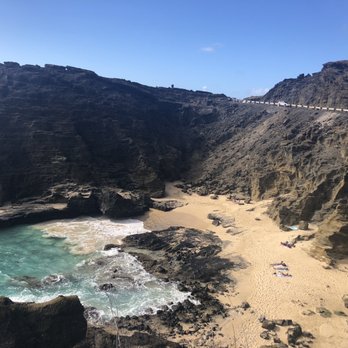 Hawaii Turtle Tours - Tours Near Me - Honolulu, Hawaii