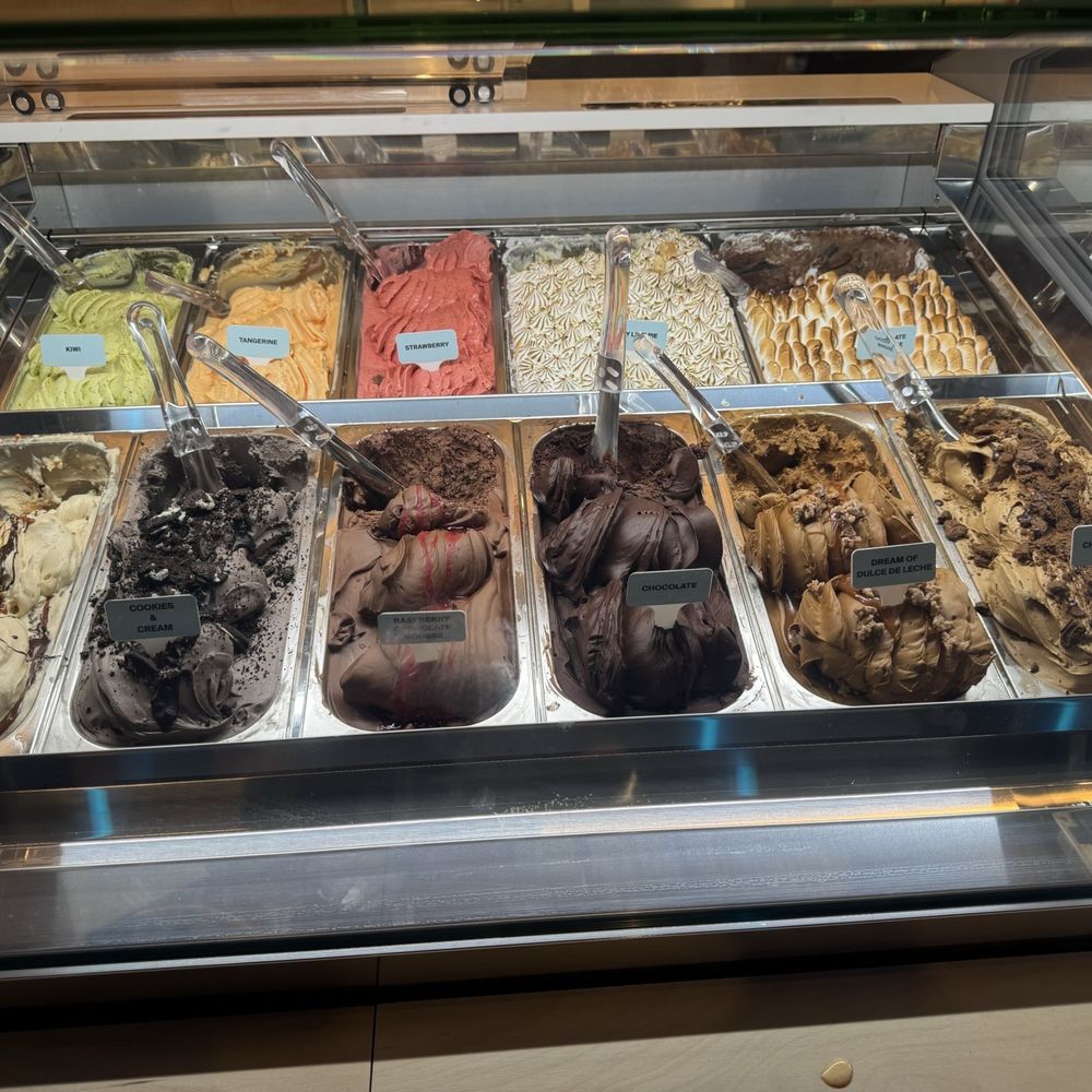Shock Gelato - Yumm - Gelato Near Me - Birmingham, Michigan Shock Gelato - Yumm - Gelato Near Me - Birmingham, Michigan