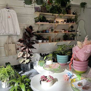 Plant Slut - Home Decor Near Me - San Jose, California