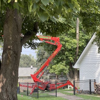 Francisco's Tree & Landscaping Services - 60 year old maple trees removal Francisco's Tree Service Omaha - Landscaping Near Me Francisco's Tree & Landscaping Services - 60 year old maple trees removal Francisco's Tree Service Omaha - Landscaping Near Me