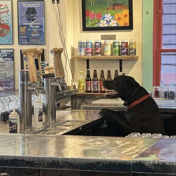 Highside Brewing - Breckenridge - Drink beer and pet dogs - Beer Bar Near Me - Breckenridge, Colorado Highside Brewing - Breckenridge - Drink beer and pet dogs - Beer Bar Near Me - Breckenridge, Colorado