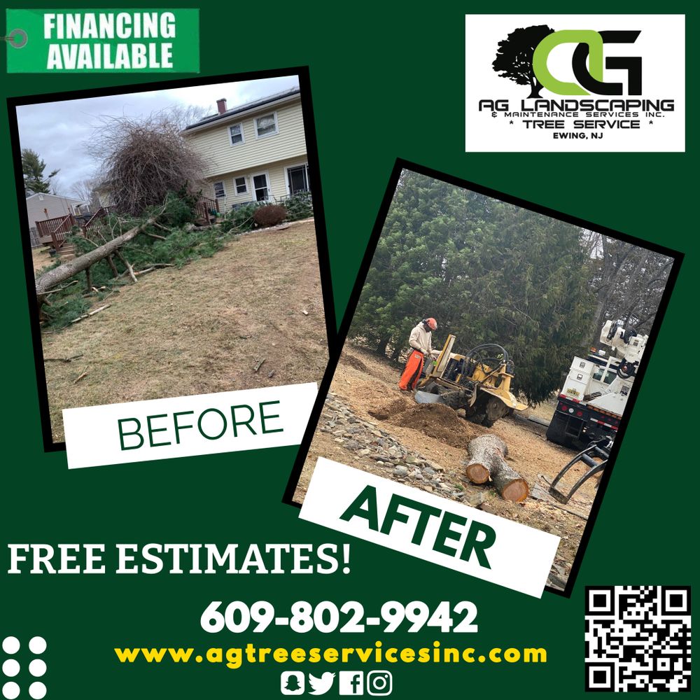 AG Landscaping & Maintenance Services - tree service in Ewing Township, NJ