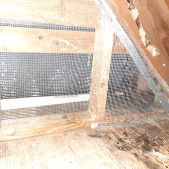 Attic Crew - Pest Control Near Me - Everett, Washington Attic Crew - Pest Control Near Me - Everett, Washington