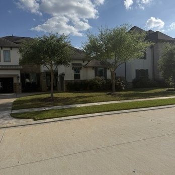 Garcia Professional Tree Service - After - Tree Services Near Me - Katy, Texas Garcia Professional Tree Service - After - Tree Services Near Me - Katy, Texas