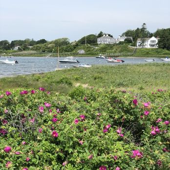 Oyster Pond Beach - Beaches Near Me - Chatham, Massachusetts
