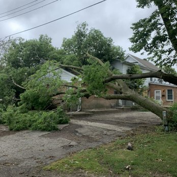 Grover Tree Company - Emergency tree removal before picture - Tree Services Near Me - Oregon, Illinois