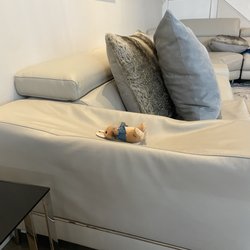 Modani Furniture - Caved in hand rest...